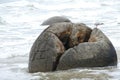 Moeraki Boulder in the ocean of New Zealand