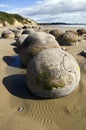 Moeraki Boulders