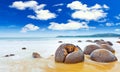 Moeraki Boulders Royalty Free Stock Photo