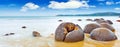 Moeraki Boulders Royalty Free Stock Photo