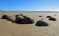 Moeraki Boulders in low tide Royalty Free Stock Photo