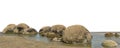 The Moeraki Boulders Koekohe Beach, Otago coast, New Zealand  isolated on white background Royalty Free Stock Photo