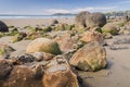 Moeraki boulders, natural wonder in New Zealand Royalty Free Stock Photo