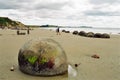 Moeraki Boulders, New Zealand Royalty Free Stock Photo