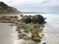 Moeraki Boulders New Zealand Royalty Free Stock Photo