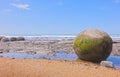 Moeraki boulders on New Zealand beach