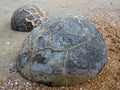 Moeraki Boulders, Koekohe Beach, New Zealand Royalty Free Stock Photo