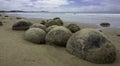 Moeraki boulders new zealand day trip