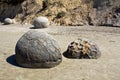 Moeraki Boulders