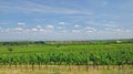 Moerbisch,Lake Neusiedl,Burgenland,Austria