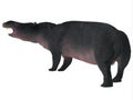 Moeritherium Mammal Tail