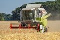 Moers , Germany - June 29 2017 - Combine harvester reaping wheat