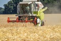 Moers , Germany - June 29 2017 - Combine harvester reaping wheat