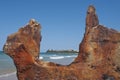 Moffat Beach, Australia Royalty Free Stock Photo