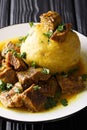 Mofongo Garlic-Flavored Mashed Plantains a dish with pork rind served with meat and broth close-up on a plate. Vertical