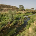 The Mogent river