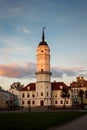 Mogilev city hall Royalty Free Stock Photo