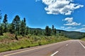 Mogollon Rim, Highway 260, Yavapai County, State of Arizona, United States