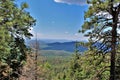 Mogollon Rim, Sitgreaves Forest, Yavapai County, State of Arizona, United States