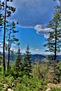 Mogollon Rim, Sitgreaves Forest, Yavapai County, State of Arizona, United States