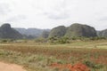 Mogotes in the ViÃÂ±ales Valley in Cuba.