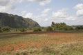 Mogotes in the ViÃÂ±ales Valley in Cuba.