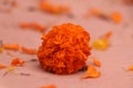 mogra orange colour flower Photo