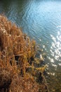 Moharac lake on the western slopes of Fruska Gora mountain in Vojvodina Serbia