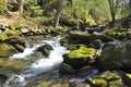 Mohawk Trail Dean's Ravine Brook