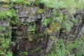 Moine Schist rocks on sidewall of gorge, ferns and trees