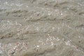 Moist beach patterns formed after low tide in seawater Royalty Free Stock Photo