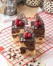 moist marbled chocolate sponge cake with mounted chocolate