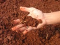 Moist soil Royalty Free Stock Photo