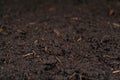 Moist soil with shallow depth of field Royalty Free Stock Photo