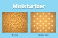 Moisturizer, dry skin and healthy skin, vector design. Royalty Free Stock Photo