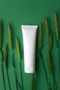 Moisturizer hand cream white plastic tube mockup and spikelet on green background, top view. Blank eco natural organic skincare