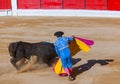 MOITA LISBON, PORTUGAL - SEPTEMBER 14: Matador and bull in tourada bullfight on September 14, 2016 in Moita Lisbon, Portugal