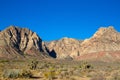 Joshua trees and striking mountains in the Mojave Desert of southern Nevada Royalty Free Stock Photo