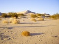 Mojave desert vista Royalty Free Stock Photo