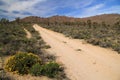 Mojave National Preserve Royalty Free Stock Photo