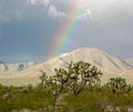 Mojave Sunshine Rainbow