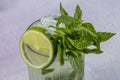 Mojito cocktail alcohol bar long drink traditional Cuba fresh tropical beverage top view copy space two highball glass, with rum, Royalty Free Stock Photo