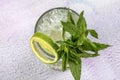 Mojito cocktail alcohol bar long drink traditional Cuba fresh tropical beverage top view copy space two highball glass, with rum, Royalty Free Stock Photo