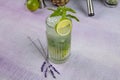 Mojito cocktail alcohol bar long drink traditional Cuba fresh tropical beverage top view copy space two highball glass, with rum, Royalty Free Stock Photo