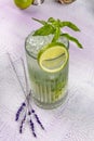 Mojito cocktail alcohol bar long drink traditional Cuba fresh tropical beverage top view copy space two highball glass, with rum, Royalty Free Stock Photo