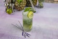 Mojito cocktail alcohol bar long drink traditional Cuba fresh tropical beverage top view copy space two highball glass, with rum, Royalty Free Stock Photo