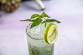 Mojito cocktail alcohol bar long drink traditional Cuba fresh tropical beverage top view copy space two highball glass, with rum, Royalty Free Stock Photo