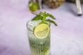 Mojito cocktail alcohol bar long drink traditional Cuba fresh tropical beverage top view copy space two highball glass, with rum, Royalty Free Stock Photo