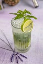 Mojito cocktail alcohol bar long drink traditional Cuba fresh tropical beverage top view copy space two highball glass, with rum, Royalty Free Stock Photo