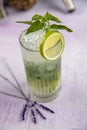 Mojito cocktail alcohol bar long drink traditional Cuba fresh tropical beverage top view copy space two highball glass, with rum, Royalty Free Stock Photo